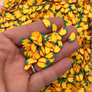 Large Mango Papaya Polymer Clay Fruit Sprinkles, Nail Art Slices, NON EDIBLE Resin Embellishments, Faux Fruit, Miniature Fruit, R50