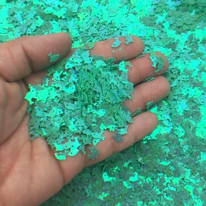 Aqua Grün irisierender Delphin Schweinswal Ozean Glitter, Kawaii Shaker Glitter, Wählen Sie Ihre Menge, U63