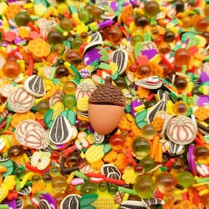 Fall Harvest Polymer Clay Sprinkle Mix with Resin Cabochon and Pearls  Shaker Bits  V223