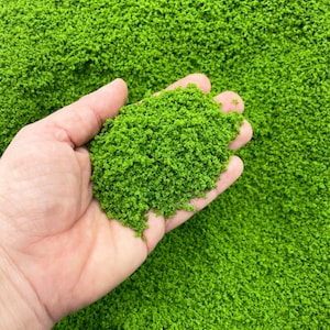 25 Grams GRASS GREEN, Diorama Model Foliage Tree Powder, Fake Herb Toppings Sprinkles for Slime