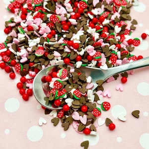 STRAWBERRY BON BON, Faux Sprinkle Mix, Fake Resin Pearls,  Polymer Clay Fake Sprinkles, Decoden Funfett Jimmies, Valentines Day V7