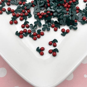 25 Tiny Flatbacked Resin Cherry Cabochons, Cute Kawaii Fruit Flat Backed Acrylic Plastic Small Nail Cabs, Glue on Charm Supplies, 1411