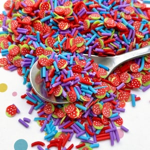 WILDBERRY TART Mix, Bright Blue, Purple, and Red Polymer Clay Fake Sprinkles Strawberry Fimo Slices, Decoden Funfetti Jimmies E130