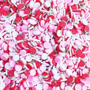 STRAWBERRY MILK Mix Pink and Red with Strawberry Polymer Clay Fake Sprinkles, Decoden Funfetti Jimmies E215