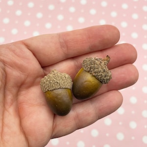 6 Fake Realistic Decorative Foam Acorns, DIY Supplies For Crafts, Wreaths Holiday Decoration etc. image 1