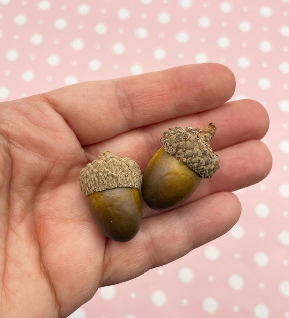 6 Fake Realistic Decorative Foam Acorns, DIY Supplies For Crafts, Wreaths Holiday Decoration etc.
