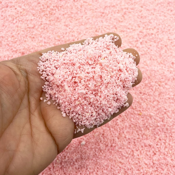 25 Grams Pale Pink Cake Crumbs, Diorama Model Fake Foliage Tree Powder, Fake Dessert Sprinkles for Slime