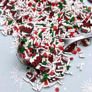 Bring Us Some Figgy Pudding, Cinnamon Bun Roll Polymer Clay Dessert Sprinkle Slices, Nail Art Slices, NON EDIBLE Xmas Cake, V167