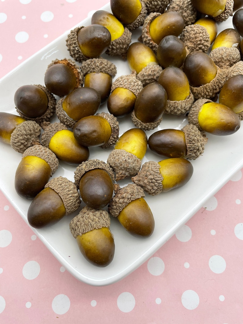 6 Fake Realistic Decorative Foam Acorns, DIY Supplies For Crafts, Wreaths Holiday Decoration etc. image 2