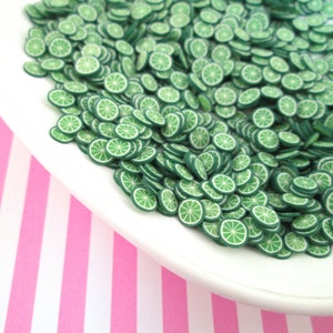 Polymer Clay Limes Fruit Slices for Crafting Nail Art Dollhouse Miniatures - R7