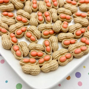 May include: A collection of peanut-shaped beads, each with a tan shell and two pinkish-orange kernels. The beads are arranged on a white square plate, creating a textured, food-themed display.