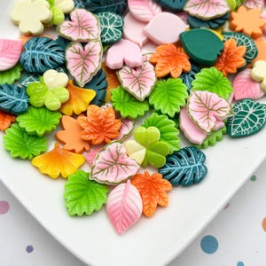 May include: A collection of small, flat, decorative leaf-shaped charms in various colors including pink, green, orange, yellow, and dark teal. The assortment features diverse botanical shapes such as ginkgo, monstera, and heart-shaped foliage.