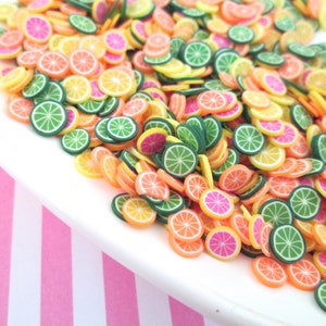 Fette di agrumi in argilla polimerica, fette per nail art, frutta finta, frutta in miniatura, M65