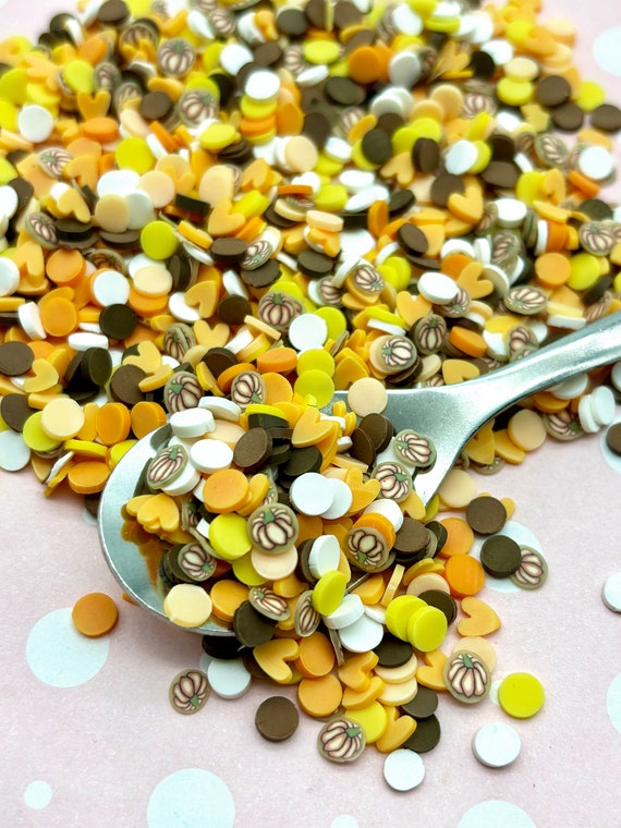 Pumpkin Spice Latte, Fall Thanksgiving themed sprinkle Mix, Polymer Clay Fake Sprinkles, Decoden Table Scatter Confetti, V197