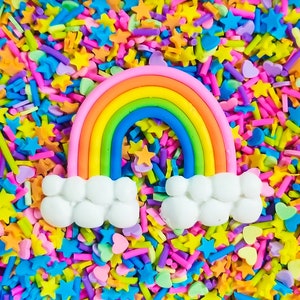 May include: A rainbow-colored fondant rainbow with white cloud accents on a background of colorful sprinkles. The sprinkles are in the shape of stars, hearts, and small sticks.