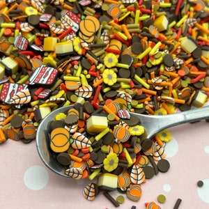 Pumpkin Cheesecake, Fall Thanksgiving Sprinkle Mix, NON EDIBLE Polymer Clay Craft Embellishments, Fake Bake Fimo Table Scatter Confetti G142