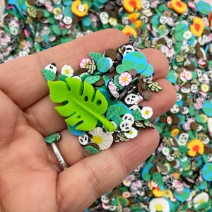 Earth Day, Sprinkle Mix with 1 Resin Cab, Polymer Clay Fake Sprinkles, Decoden Funfetti Jimmies M81