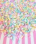 UNICORN DREAMS Pastel Polymer Clay Fake Sprinkles, Decoden Funfetti Jimmies E9 