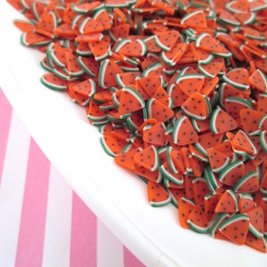 Polymer Clay Watermelon Fruit Sprinkles, Nail Art Slices, Faux Fruit, Miniature Fruit, R13