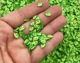 Green Tropical Fish Polymer Clay Slices, Nail Art Slices, Faux sprinkles, Exotic Aquarium Fish, Resin Embellishments, M199