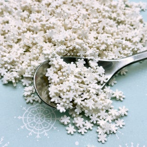Polymer Clay White Snowflake Sprinkles, Fake Sprinkles, Decoden Funfetti Rainbow Jimmies, S92