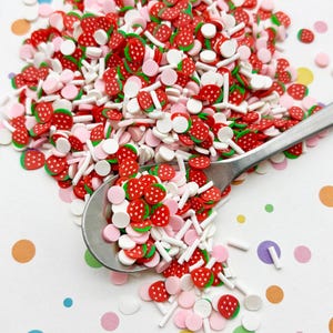 STRAWBERRY MILK Mix Pink and Red with Strawberry Polymer Clay Fake Sprinkles, Decoden Funfetti Jimmies E215