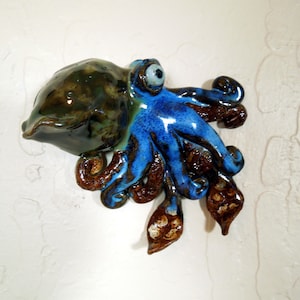 Small Blue Wall Squid