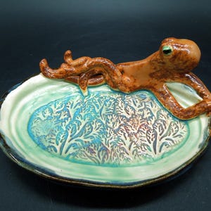 Prato de Polvo com Alga Marinha