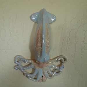 Pink and Blue Wall Squid