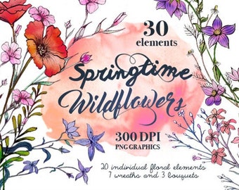 Springtime Wildflowers, watercolor floral, aquarelle flowers, vintage botanical clipart, ink flower drawings, floral graphics spring florals