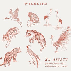 May include: A set of 25 red line drawings of various wildlife animals, including peacocks, fowls, tigers, leopards, langurs, and cranes. The text "WILDLIFE" is at the top of the image and "25 ASSETS" is at the bottom of the image with the text "peacocks, fowls, tigers, leopard, langurs, cranes".