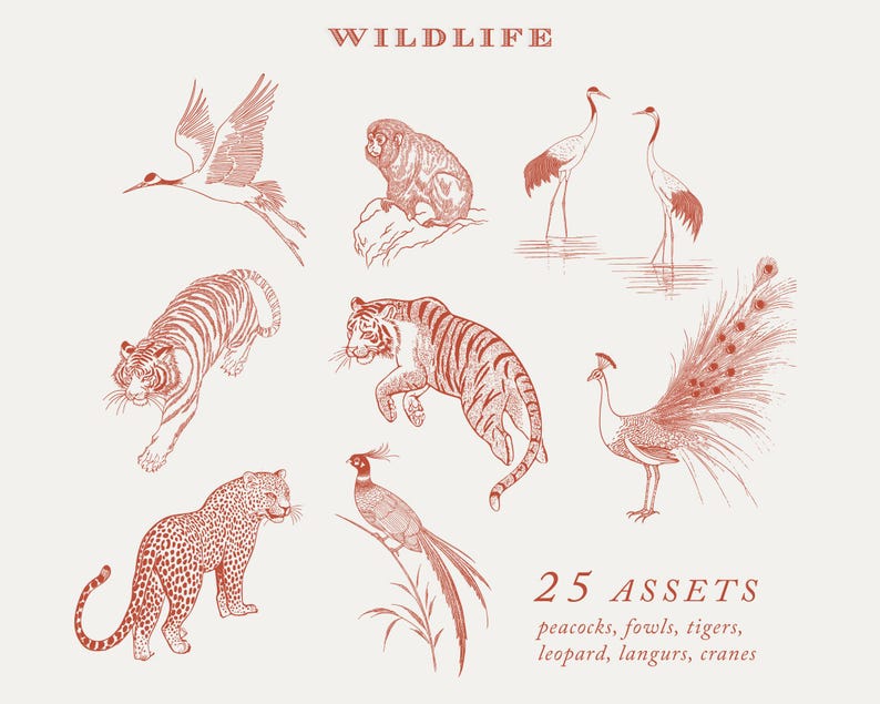 May include: A set of 25 red line drawings of various wildlife animals, including peacocks, fowls, tigers, leopards, langurs, and cranes. The text "WILDLIFE" is at the top of the image and "25 ASSETS" is at the bottom of the image with the text "peacocks, fowls, tigers, leopard, langurs, cranes".