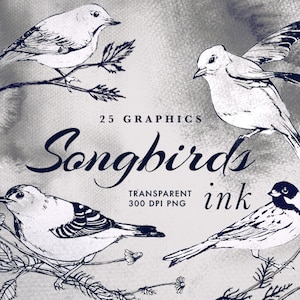 Clipart tatouage oiseaux chanteurs | vintage oiseaux illustration moineaux lineart hirondelles dessins dessinés à la main aquarelle minimaliste tatouages art