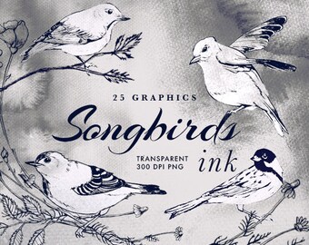 Songbirds Ink Clipart Tattoo | vintage birds illustration sparrows lineart swallows drawings handdrawn watercolor minimalist tattoos art