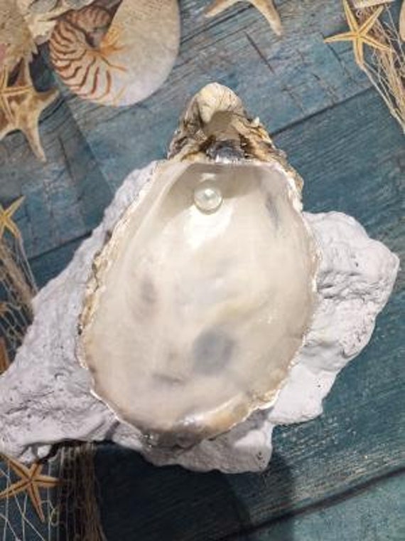 Magnifique Coquille d'huître Nacrée Élégamment Fabriquée à La Main avec Une Décoration Simple en Per