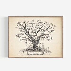 Microbiology Phylogenetic Tree Of Life Poster, Microbiology Evolution Science Poster, Cross Hatching Illustration