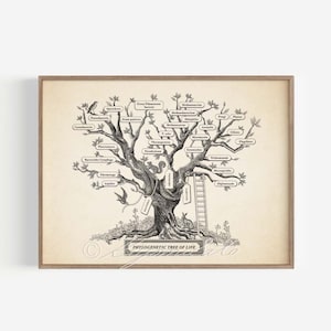May include: A black and white illustration of a phylogenetic tree of life. The tree is labeled with various scientific names of organisms, including bacteria, archaea, and eukaryotes. The tree is surrounded by a brown frame.