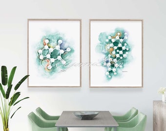 Caffeine & Catechin Molecule Art Set of 2, Coffee and Green Tea Art Prints, Science Break room Decor, Kitchen Chemical Structure Art Posters