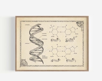 Medieval Style DNA With Chemical Structure Poster, Genetics Science art Print, DNA Helix Illustration Wall Decor