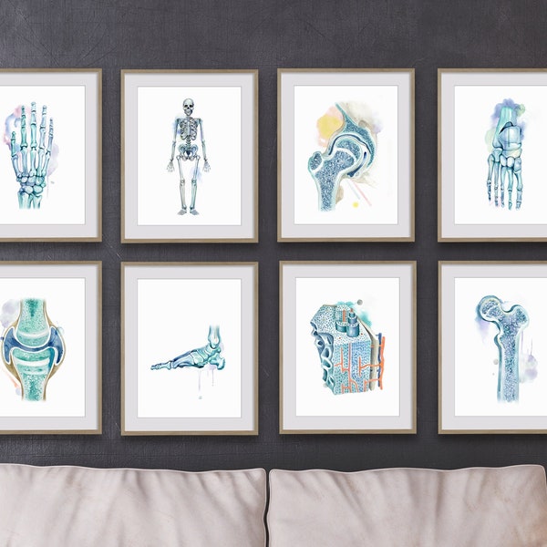Bone Collection Art 8 Prints set, Science Art, Anatomy art bundle, Chiropractic art