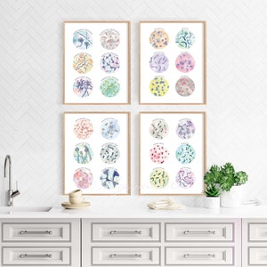 Food Microbiology Art for Kitchen 4 Poster set, Microbe Science Art, Cheese, Wine, Brewing, fermenting microbiome, fungi, bacteria art
