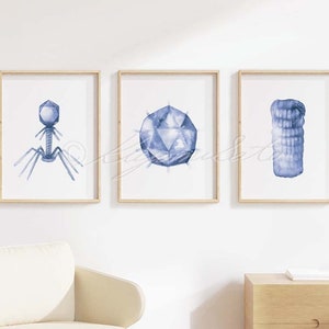 Virus shape Art Poster Set of 3, Virology Wall Decor Science Art Print