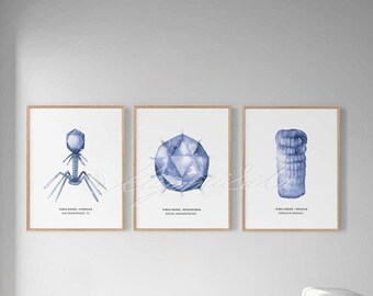 Virus shape Art Poster Set of 3, Virology Wall Decor Science Art Print