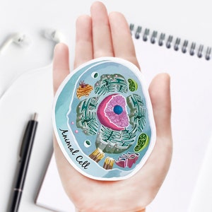 May include: A blue and green illustrated sticker of an animal cell with the text "Animal Cell" written on the bottom left side of the sticker.