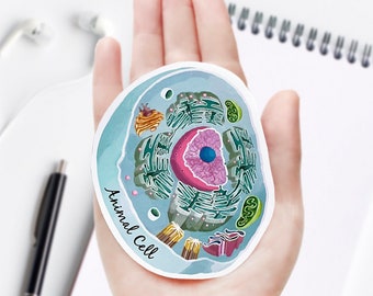 Animal Cell Cross Section Vinyl Sticker, unique science decal, microbiology, biology, laptop sticker