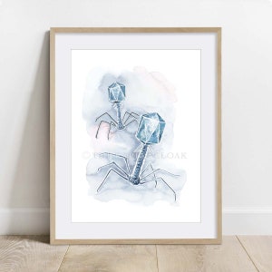 Watercolor Bacteriophage Art, Science wall decor, Molecular biology poster, Biology print
