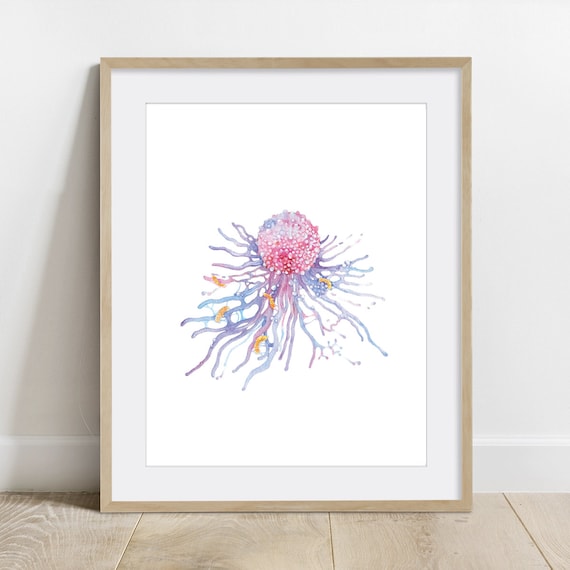 Macrophage Immune Cell Science Art Print Biology Poster Etsy