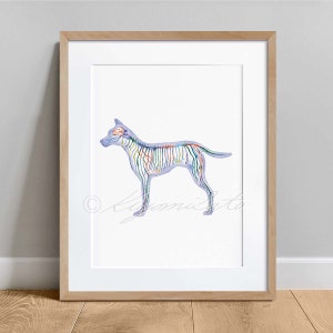 Canine Nervous System, Blue Vertical, Science Art Poster, Dog Anatomy Veterinary decor print