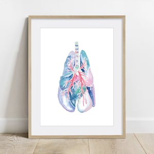 Canine Lung, Dog Anatomy Art Poster, Veterinary Canine Pulmonary art decor