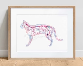 Feline Nervous System, Magenta Horizontal Science Art Poster, Cat Anatomy print, Veterinary poster